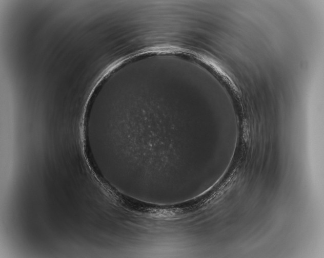 X0000096991229200802081421