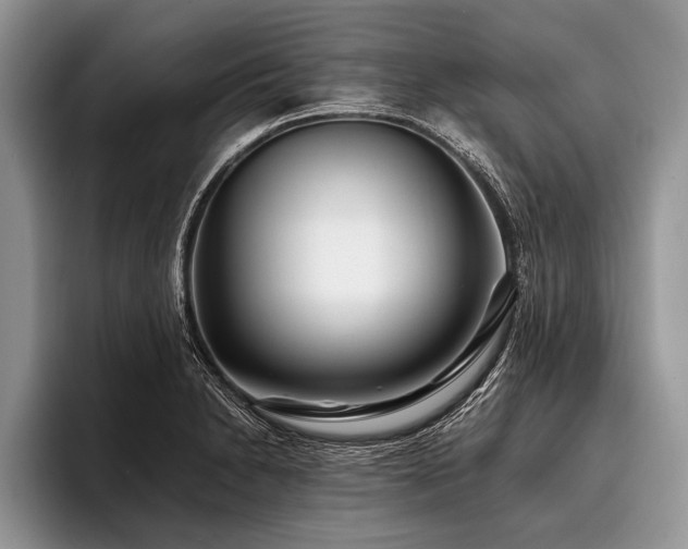 X0000096991230200802081421