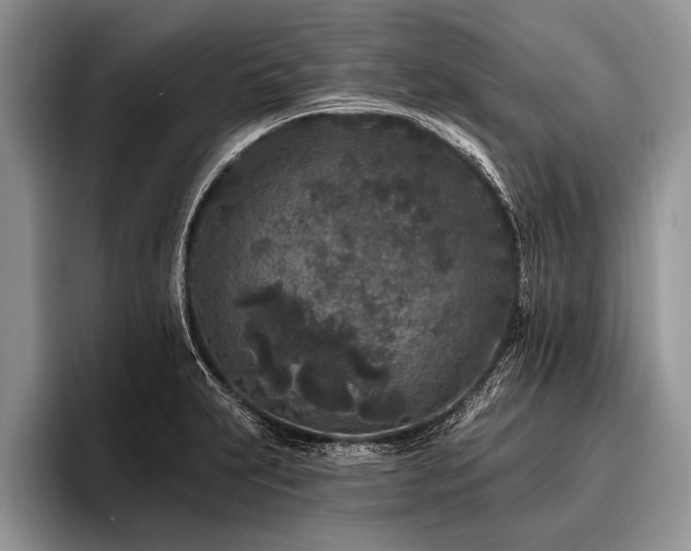 X0000096991231200802081421