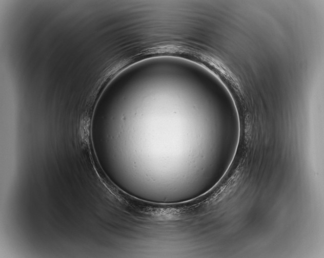 X0000096991233200802081421