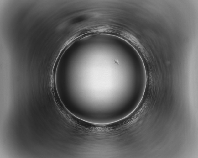 X0000096991234200802081421