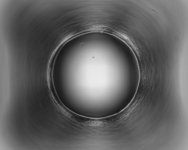 X0000096991235200802081421