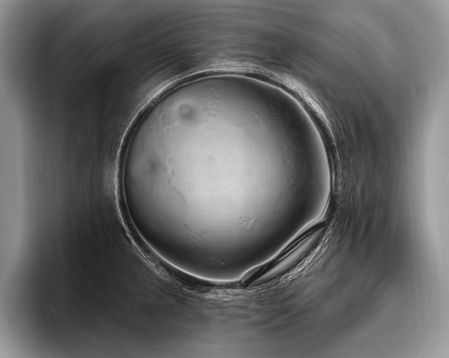 X0000096991237200802081421