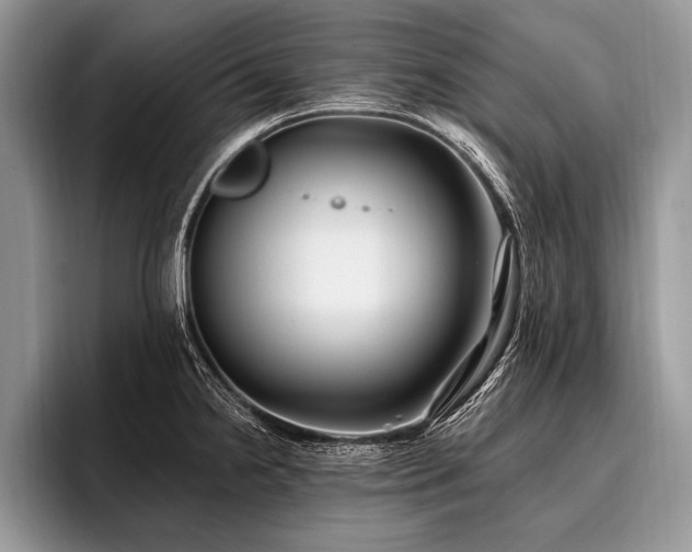 X0000096991238200802081421