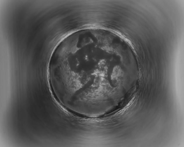 X0000096991239200802081421