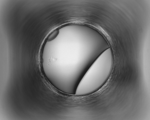 X0000096991240200802081421