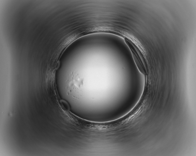 X0000096991241200802081421