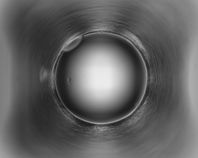X0000096991242200802081421
