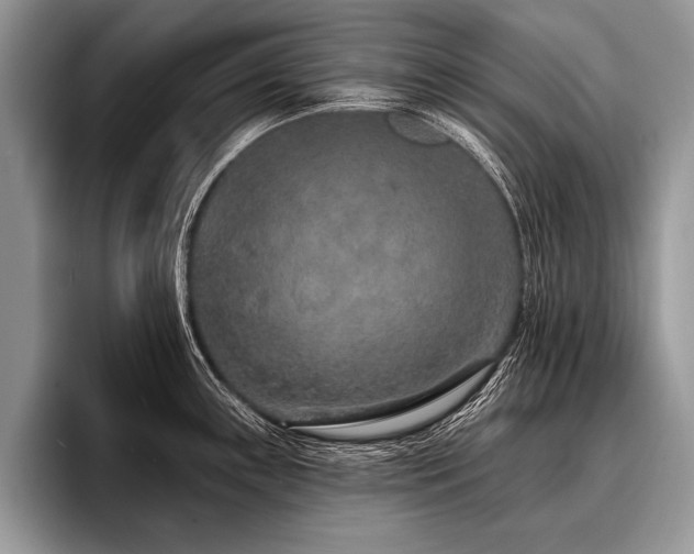 X0000096991243200802081421