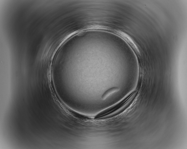 X0000096991244200802081421