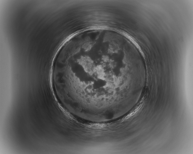 X0000096991245200802081421