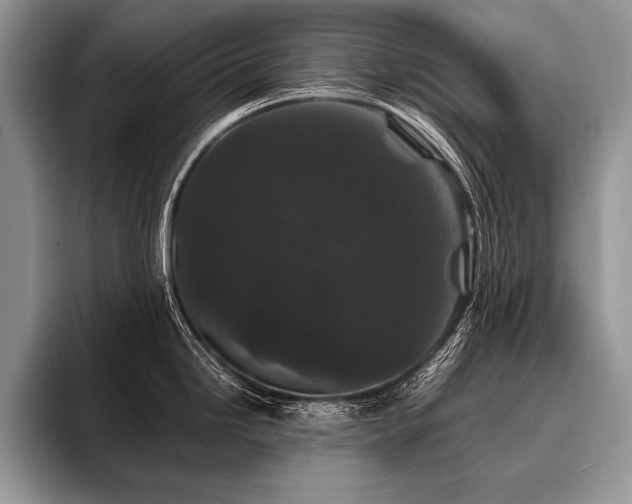 X0000096991246200802081421