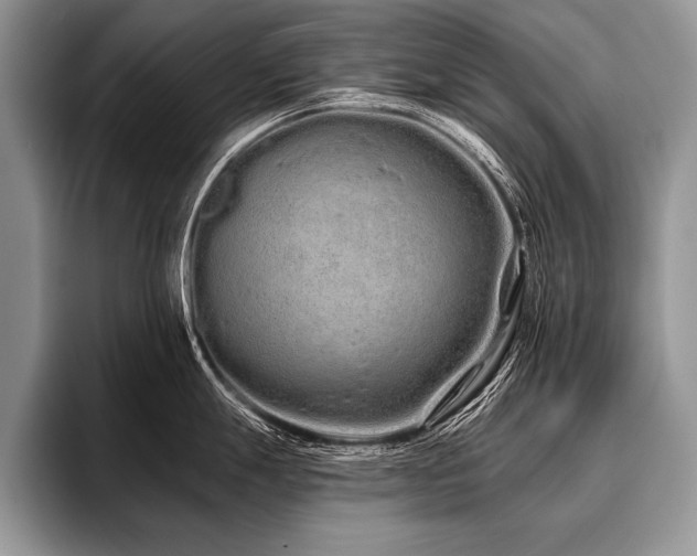 X0000096991247200802081421