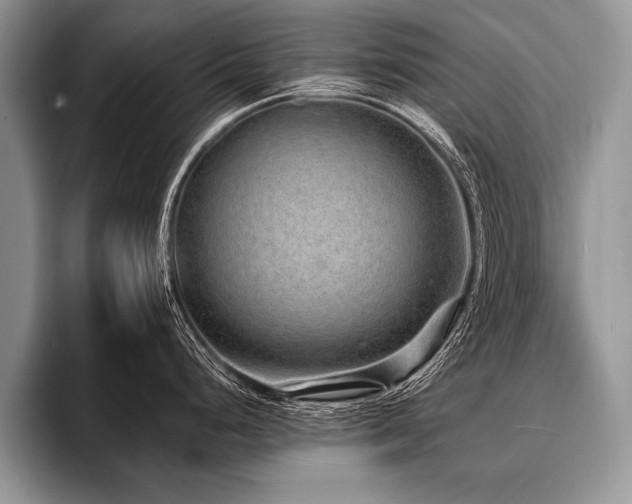 X0000096991248200802081421