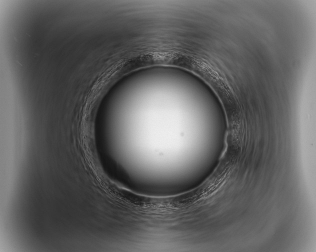 X0000096991249200802081421