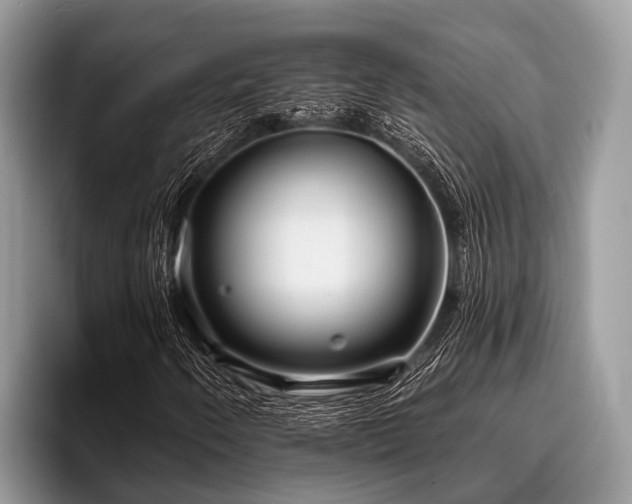 X0000096991250200802081421