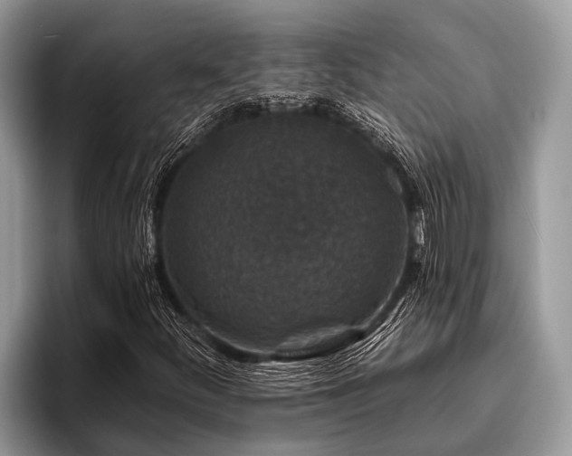X0000096991252200802081421