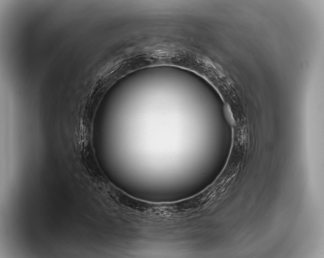 X0000096991253200802081421