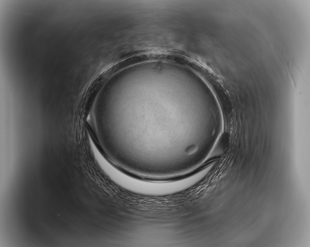 X0000096991255200802081421