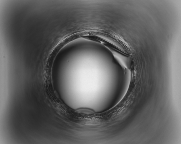 X0000096991256200802081421