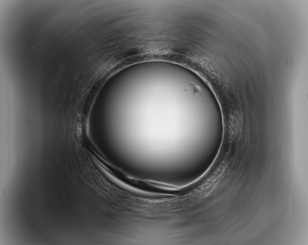 X0000096991257200802081421