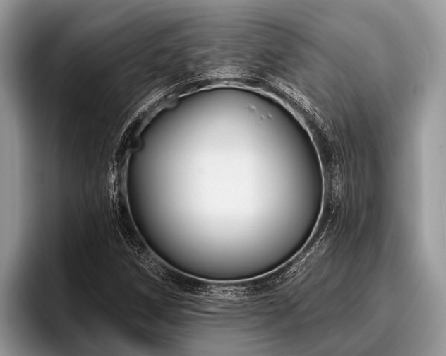 X0000096991258200802081420