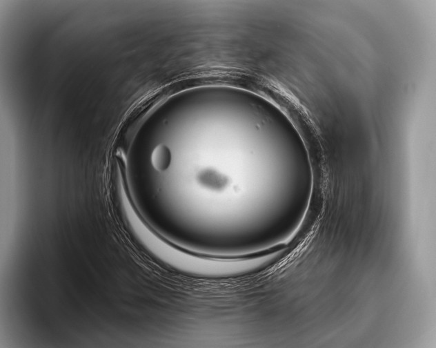 X0000096991259200802081420