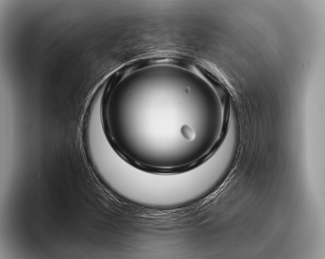 X0000096991260200802081420