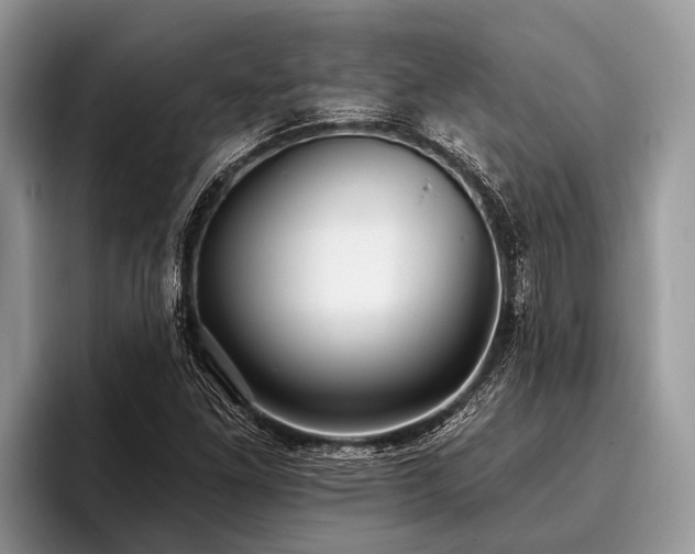 X0000096991261200802081420