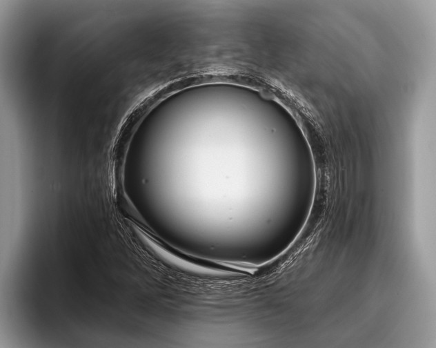 X0000096991262200802081420