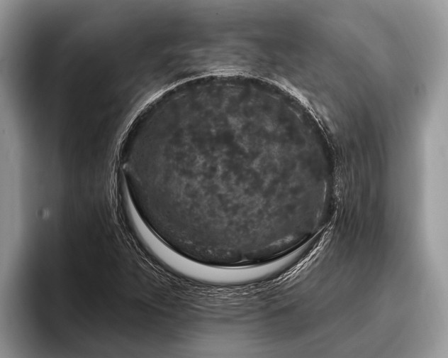 X0000096991263200802081420