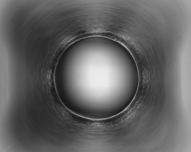 X0000096991265200802081420