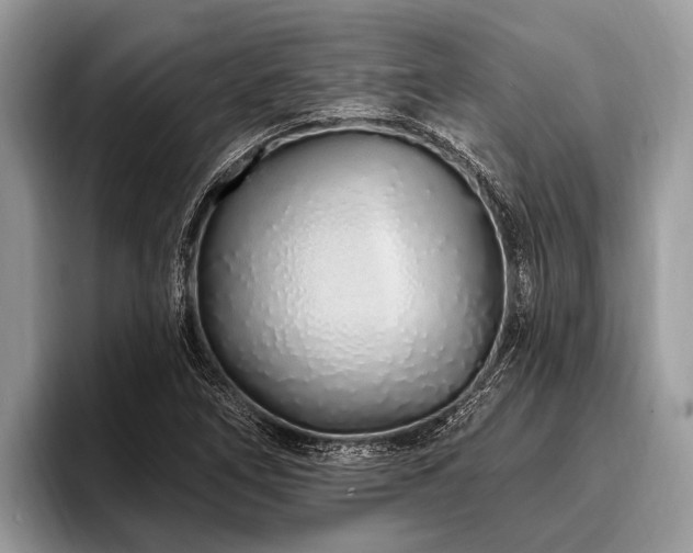 X0000096991266200802081420