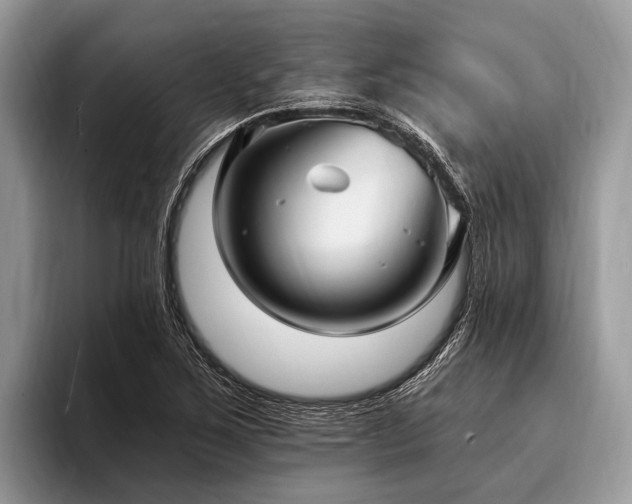 X0000096991267200802081420