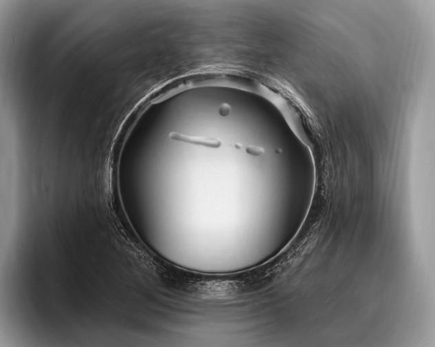 X0000096991268200802081420