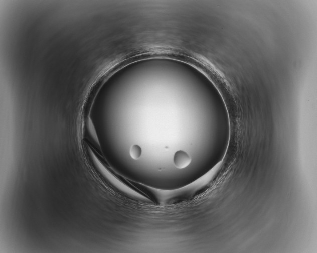 X0000096991269200802081420