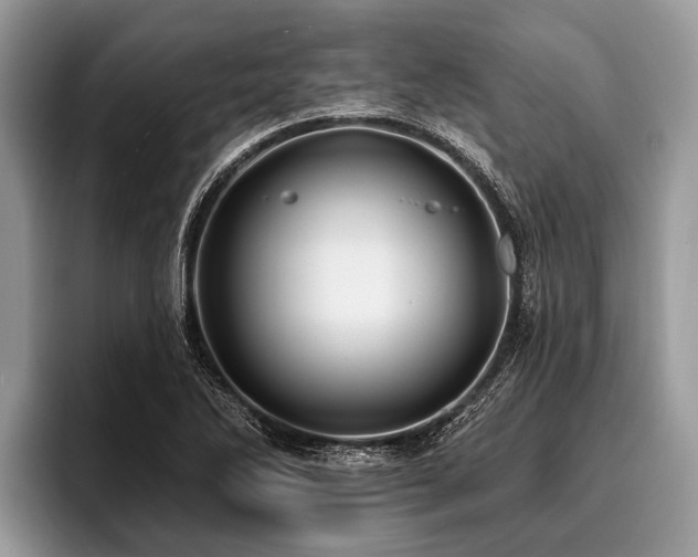 X0000096991270200802081420