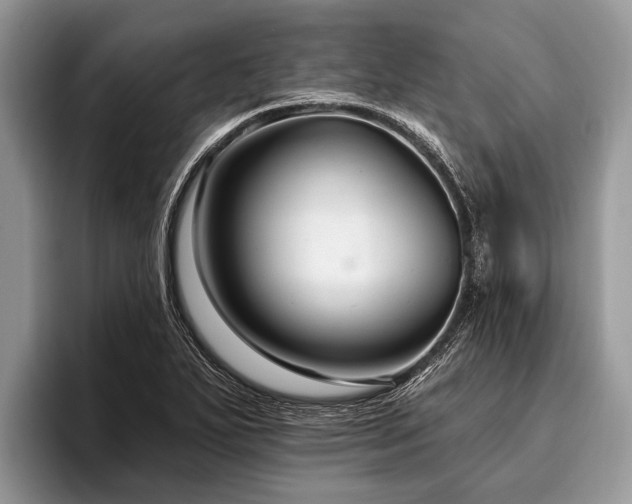 X0000096991271200802081420