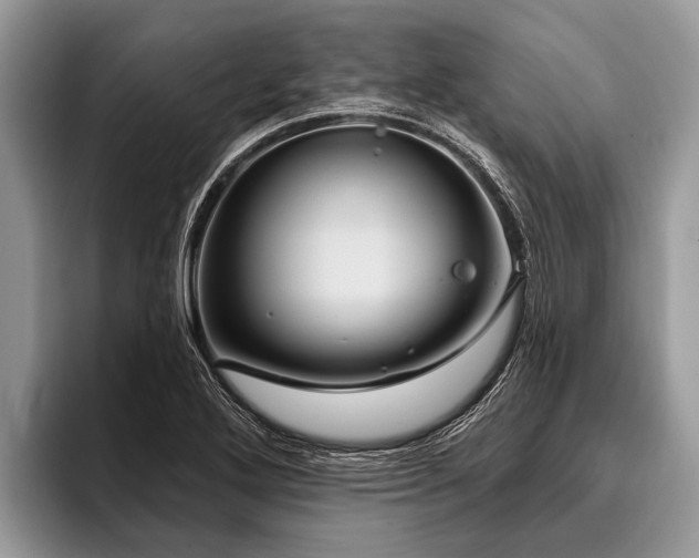 X0000096991272200802081420