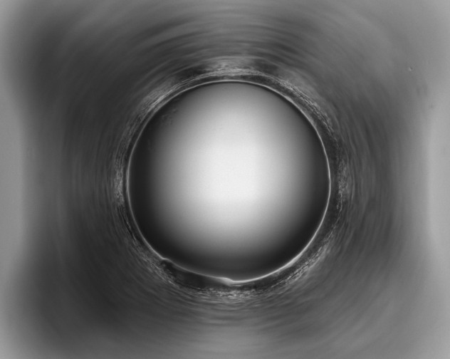 X0000096991273200802081420