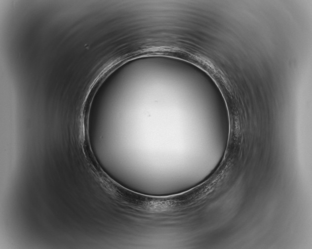 X0000096991274200802081420