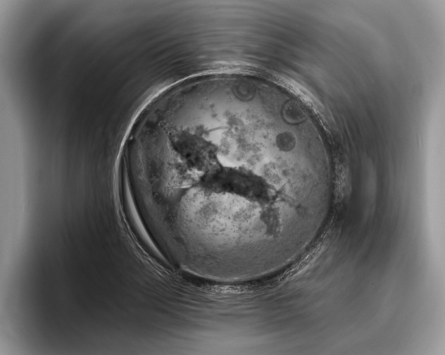 X0000096991275200802081420