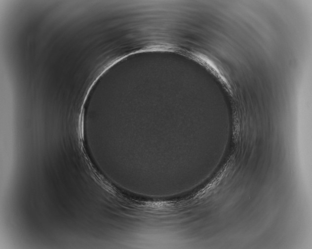 X0000096991276200802081420