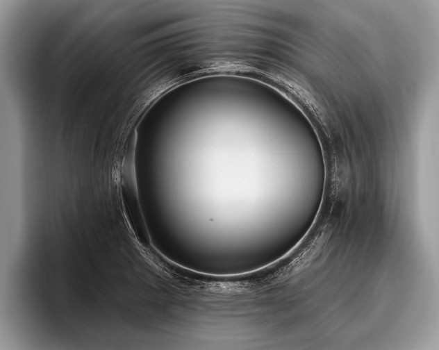 X0000096991281200802081420