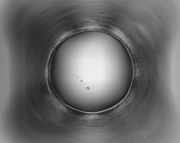X0000096991282200802081420