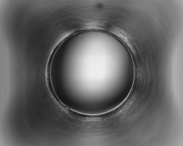 X0000096991285200802081420