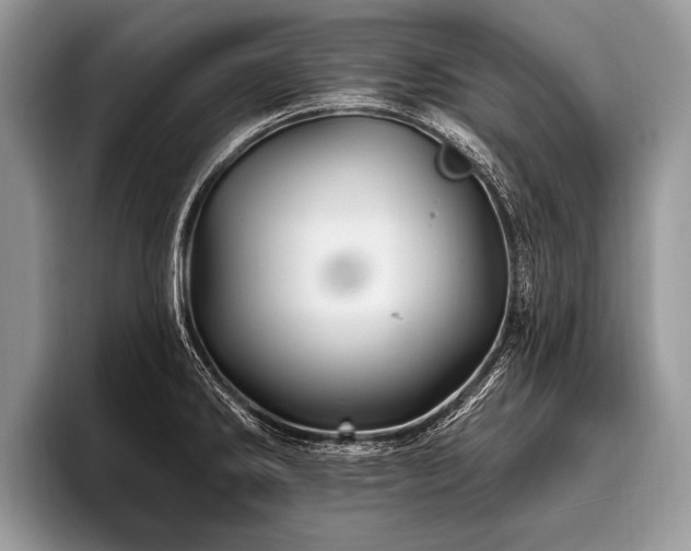 X0000096991286200802081420