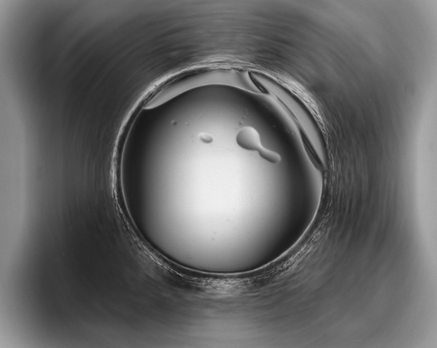 X0000096991288200802081420
