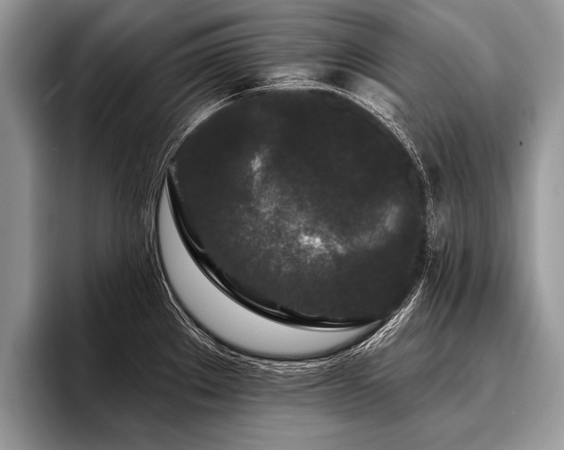 X0000096991289200802081420