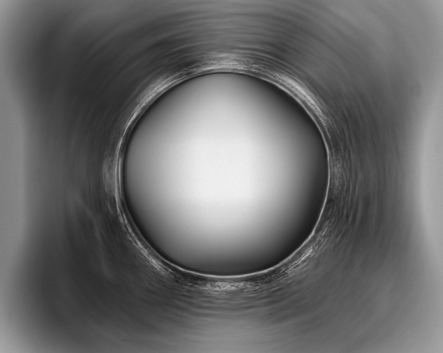 X0000096991290200802081420
